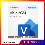 Microsoft Visio 2024 Professional Bind Key