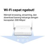 TP-Linnk TL-WR844N  | 300 Mbps | Wireless N Router | Extender | Access Point | WISP | IPTV - Image 3
