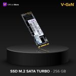 SSD M.2 SATA CAPACITY 256GB V-GEN Storage - Image 2