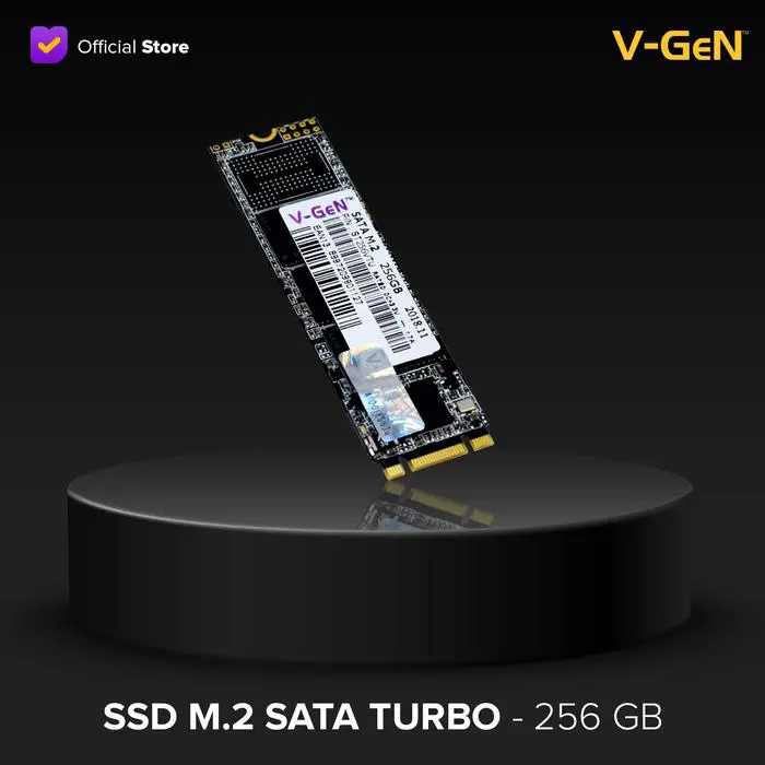 SSD M.2 SATA CAPACITY 256GB V-GEN Storage - Image 2
