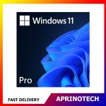 Windows 11 Pro Retail - Aprinotech