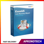 EaseUS Data Recovery Wizard Professional  Lifetime - 1 Year