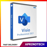 Microsoft Visio 2021 Professional  License Key