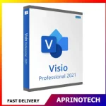 Microsoft Visio 2021 Professional  License Key
