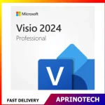 Microsoft Visio 2024 Bind Professional  License Key