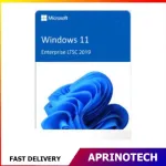 Windows 11 Enterprise LTSC 2019  License Key