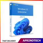 Windows 11 Enterprise LTSC 2021 License Key
