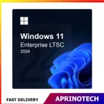 Windows 11 Enterprise LTSC 2024 License Key