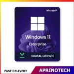 Windows 11 Enterprise  License Key