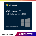Windows 11 IoT Enterprise  License Key ESD