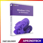Windows 11 Workstation License Key