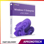 Windows 11 Enterprise 2024 LTSC  License ESD