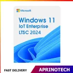 Windows 11 IoT Enterprise LTSC 2024  License ESD