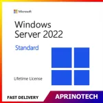 Windows Server 2022 Standard License Key