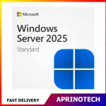 Windows Server 2025 Standard License Key