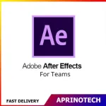 Adobe After Effects for Teams 1 Year Subscription