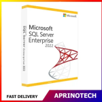 Microsoft SQL Server 2022 Enterprise - 2 Core
