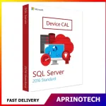 Microsoft SQL Server 2016 Standard 1 Device CAL