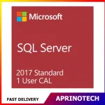 Microsoft SQL Server 2017 Standard 1 User CAL