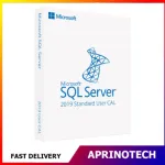 Microsoft SQL Server 2019 Standard 1 User CAL