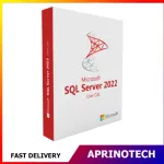 Microsoft SQL Server 2022 Standard 1 User CAL
