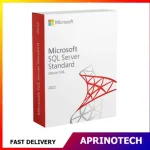 Microsoft SQL Server 2022 Standard 1 Device CAL
