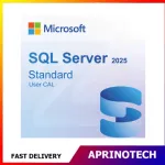 Microsoft SQL Server 2025 Standard 1 User CAL