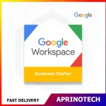 Google Workspace Business Starter (Annual)