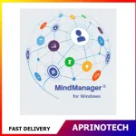 MindManager Professional Subscription 1 Year Windows