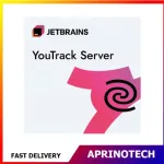 Jetbrains YouTrack Server 15 User
