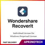 Wondershare Recoverit Individual License for Windows Perpetual License