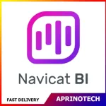 Navicat BI Perpetual License
