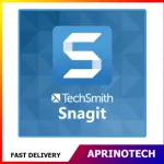 TechSmith Snagit 2026 Annual Subscription