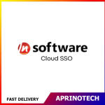 Cloud SSO