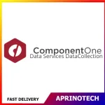 ComponentOne Data Services DataCollection