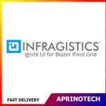 Infragistics Ignite UI for Blazor Pivot Grid