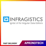 Infragistics Ignite UI for Angular Data Editors